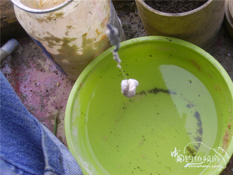 民间特色钓法,径河野钓地点
