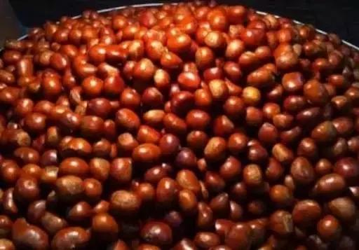 金味栗子,金味栗子几月开始卖