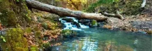 洛阳涧西区好玩的景点,洛阳35个免费景点