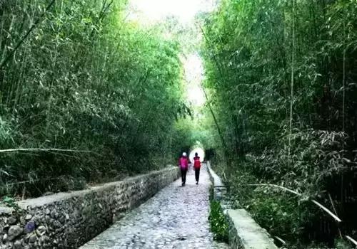 洛阳涧西区好玩的景点,洛阳35个免费景点