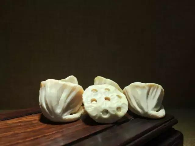 象牙的十大秘密 (象牙的惊人秘密)