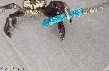 内德看英超微博,内德专栏新赛季看曼联什么