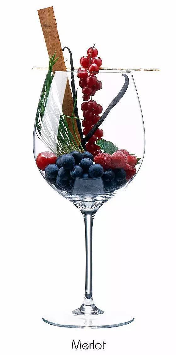卡农美乐1920merlot,merlot葡萄品种
