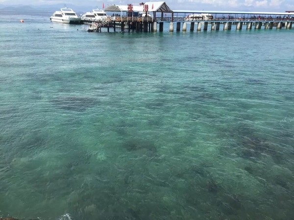 三亚跟团游5天4晚1000,三亚5天4晚跟团游攻略