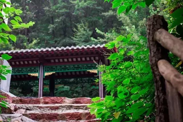 悬泉飞瀑的风景图,悬泉山瀑布在什么地方