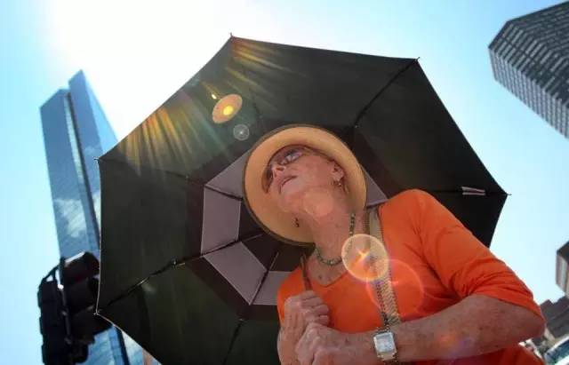 有了这些伞，哪怕天天下雨也很爽