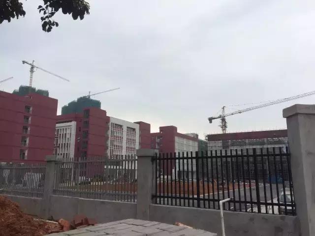 深圳买房秘籍：跟着新增3.72万个学位去看房