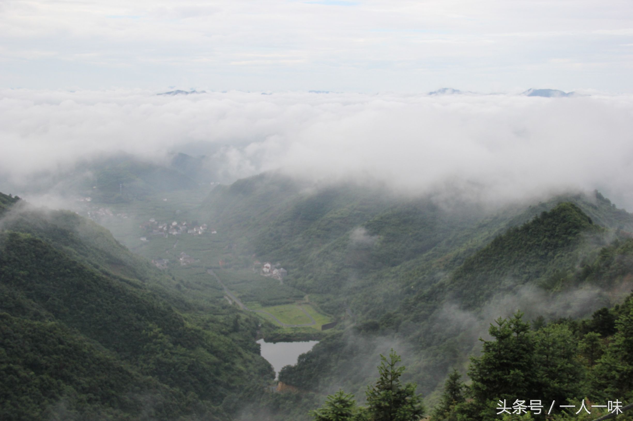 漫游天目山,探幽天目山森林之旅