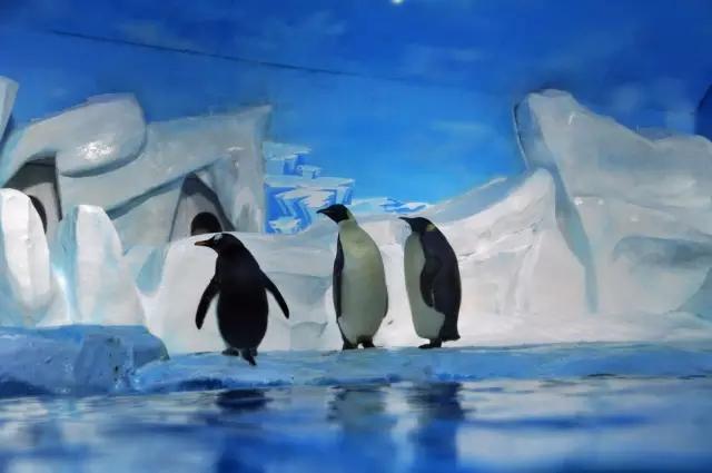 天津必须去的旅游景点,天津最值得去的景区旅游攻略