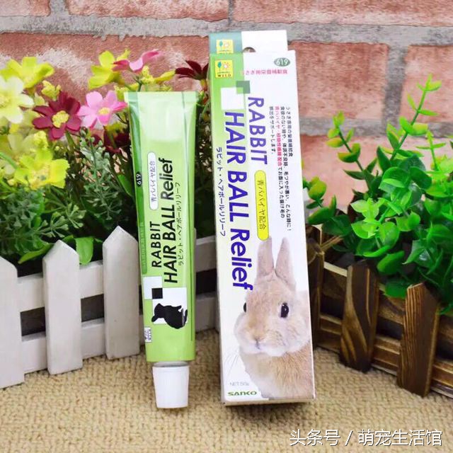 金丝熊日常需要准备的药物,仓鼠金丝熊适用的药品