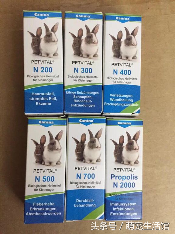 金丝熊日常需要准备的药物,仓鼠金丝熊适用的药品