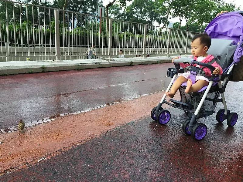 香港|两日一夜,不出沙田到底怎么玩