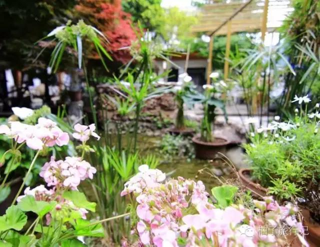 花最少的钱游云南,花最少的钱在丽江