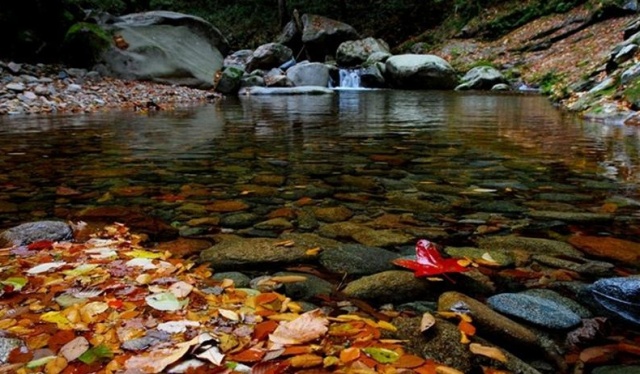 钃濋泚,钃濋泚浣滃搧