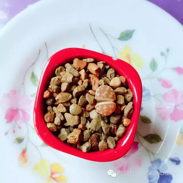 入坑就不能自拔,入坑后无法自拔