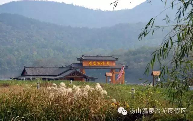 天气这么好，一起来汤山钓鱼、骑马、吃鹿肉、看鳄鱼吧！