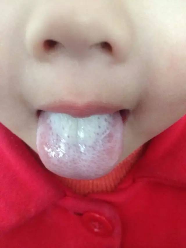 探索宝宝身上独特的秘密,探索宝宝的奇妙之旅