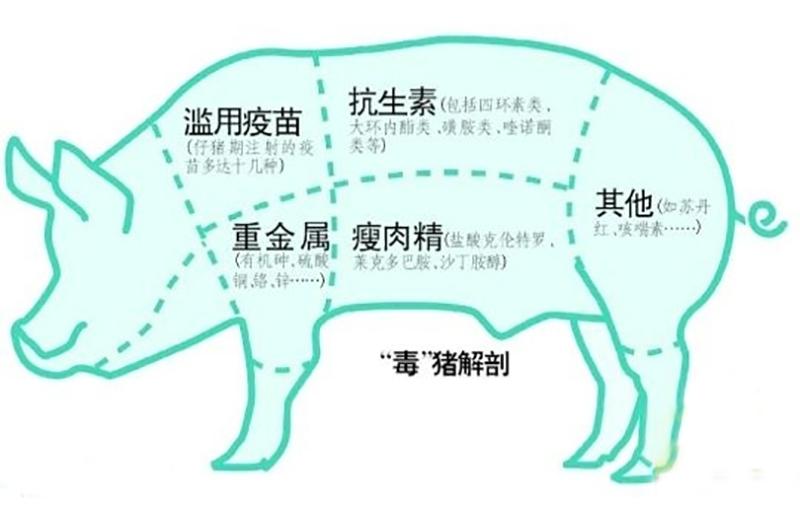 猪肉药物残留检测去哪些药,肉品药物残留检测