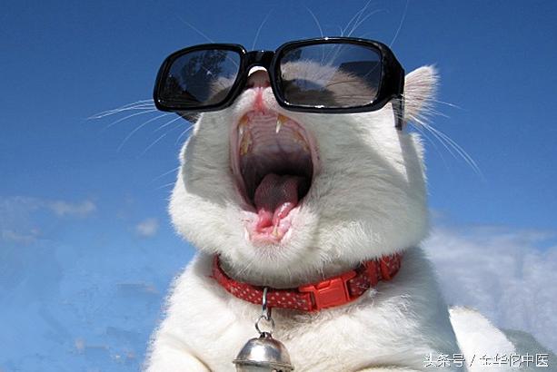 宝宝有黄疸吃药还是药浴,孩子有黄疸可以喝茵栀黄口服液吗