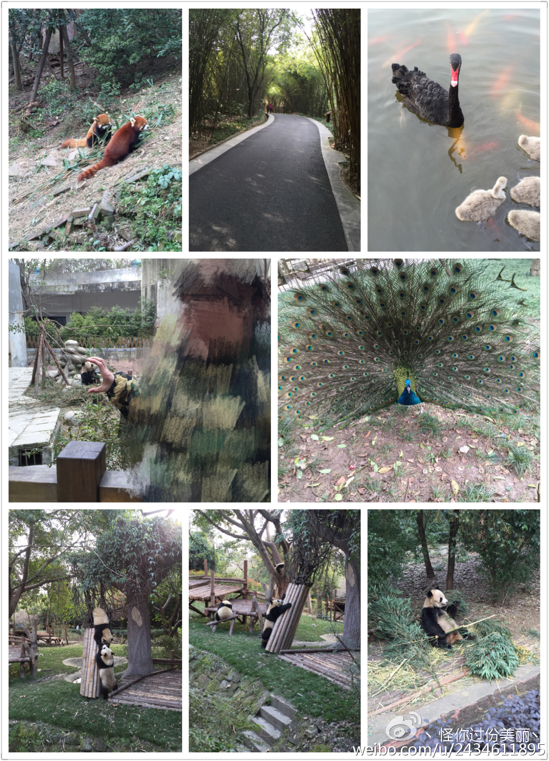 成都私人美食攻略,成都美食攻略人均50