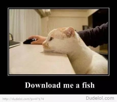 怎么防止猫咬细的电线,怎样从猫上接出网线