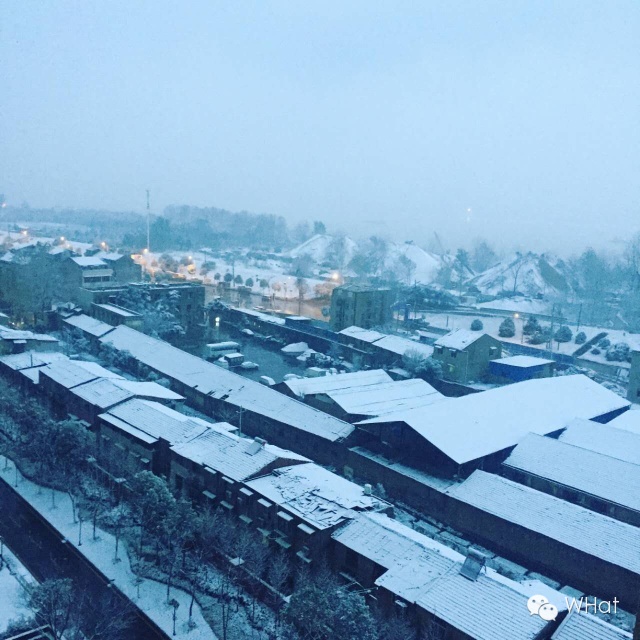 武汉只下一天雪吗,武汉下的是雪吗