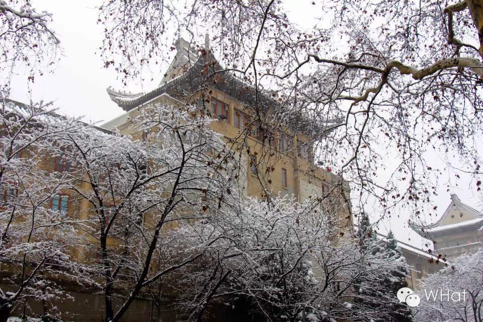 武汉只下一天雪吗,武汉下的是雪吗