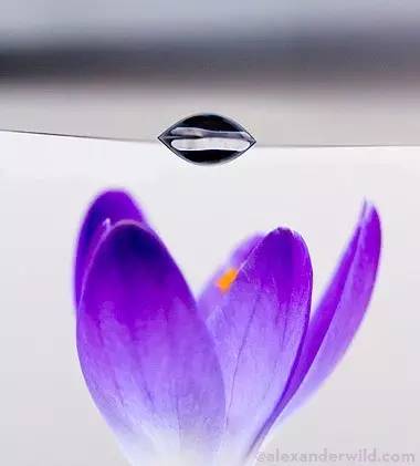 只需要用水就能做出的科学小实验,只用水和纸就能做出的科学小实验