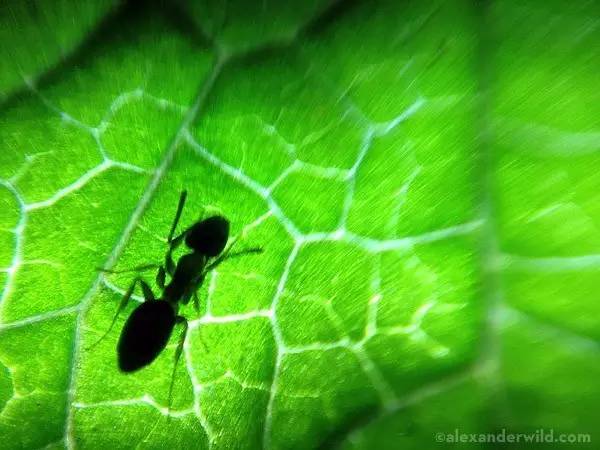只需要用水就能做出的科学小实验,只用水和纸就能做出的科学小实验