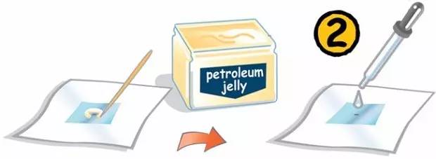 只需要用水就能做出的科学小实验,只用水和纸就能做出的科学小实验