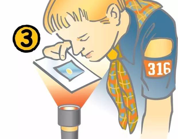 只需要用水就能做出的科学小实验,只用水和纸就能做出的科学小实验