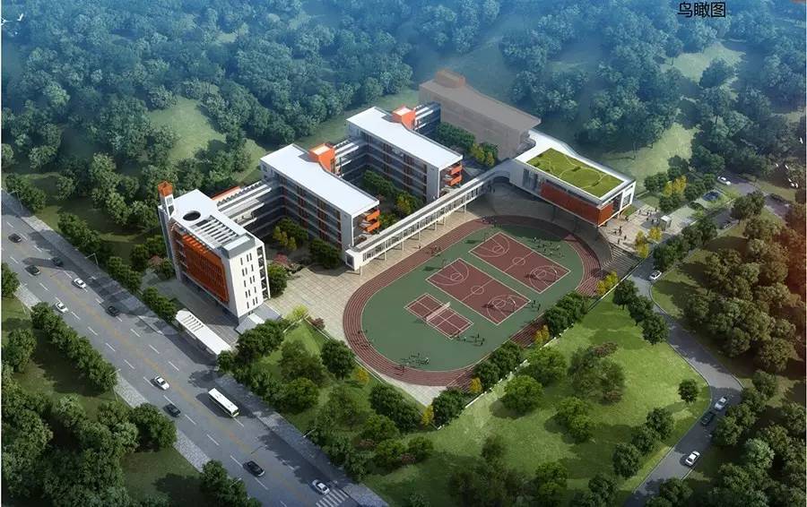龙岗新建学校,龙岗新建改扩建的学校项目