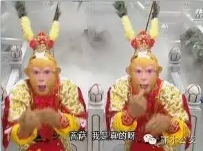 真假警察对决完整视频,真假警察对决方案