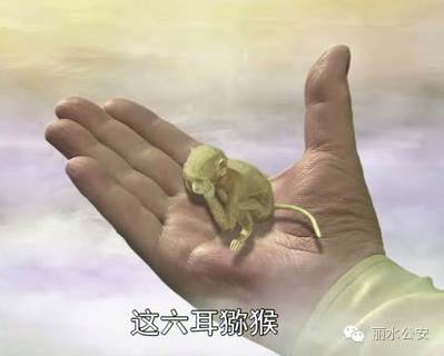 真假警察对决完整视频,真假警察对决方案