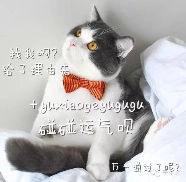 Cosmetic缇庡澶ц祻,cosmetic澶ц祻姒滃崟2023