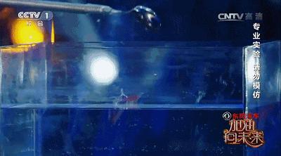 加油！向未来丨天啊！原来你们都是这样的元素