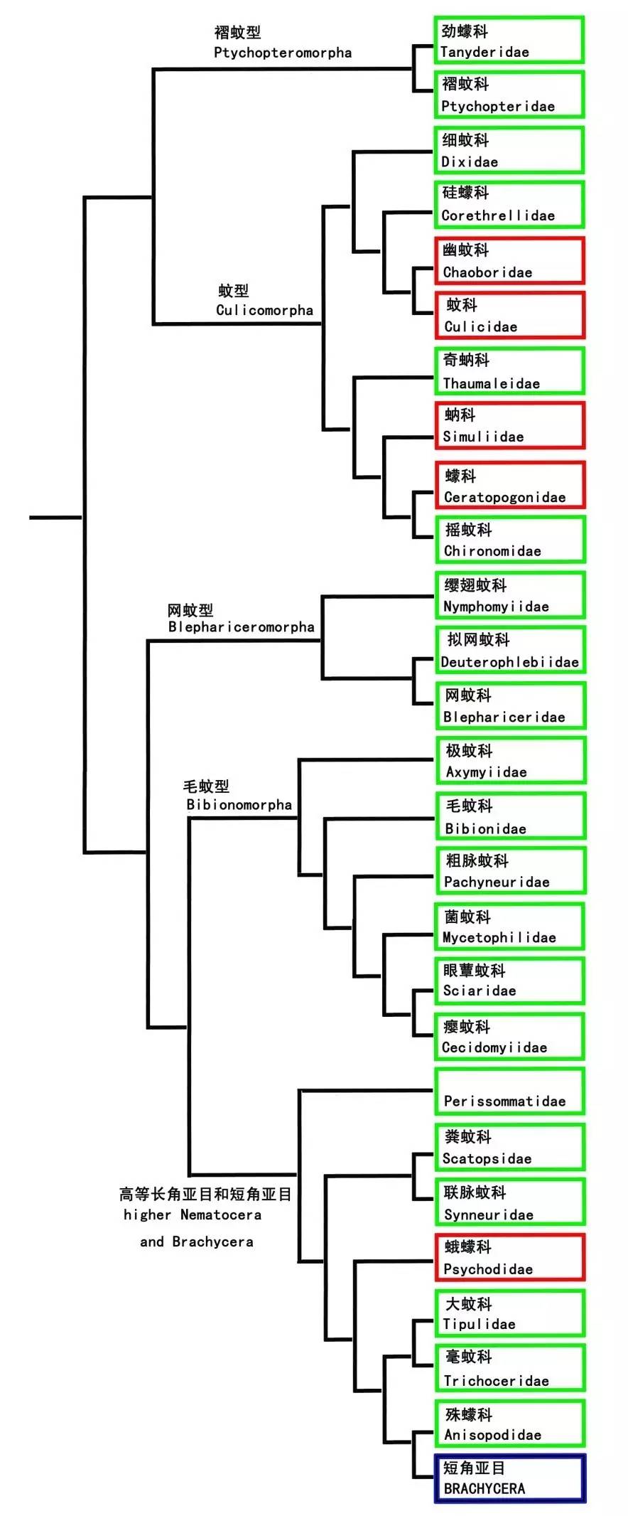 你对蚊子有哪些吐槽,你对蚊子的认识