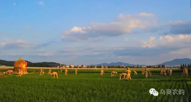 华溪村为啥一夜就火了,华溪村为什么突然火了