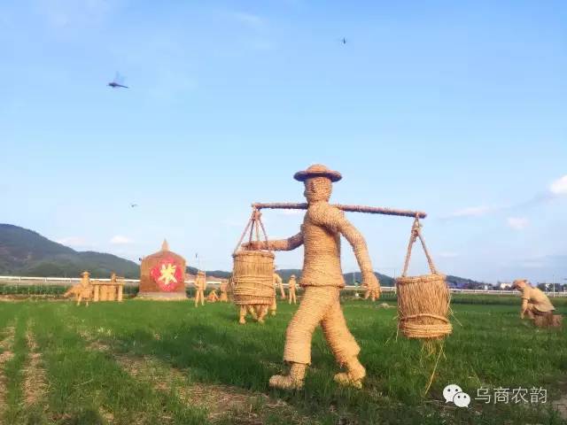 华溪村为啥一夜就火了,华溪村为什么突然火了