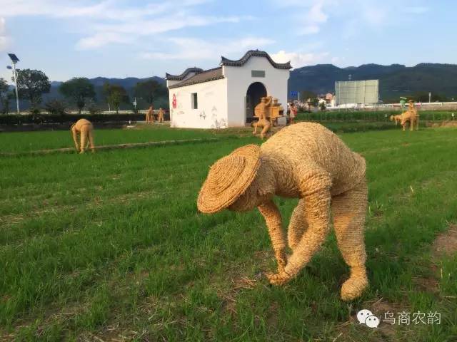 华溪村为啥一夜就火了,华溪村为什么突然火了