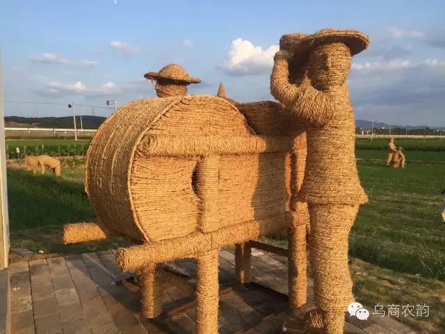 华溪村为啥一夜就火了,华溪村为什么突然火了