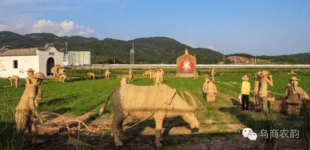 华溪村为啥一夜就火了,华溪村为什么突然火了