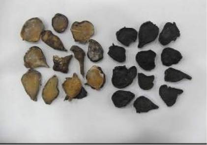 涓嵂榛戦檮瀛愬浣曠厧,涓嵂澶ч檮瀛愮殑鍒悕