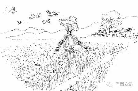 华溪村为啥一夜就火了,华溪村为什么突然火了