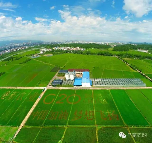 华溪村为啥一夜就火了,华溪村为什么突然火了