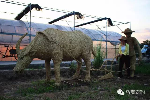 华溪村为啥一夜就火了,华溪村为什么突然火了