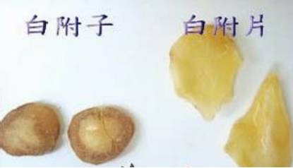 涓嵂榛戦檮瀛愬浣曠厧,涓嵂澶ч檮瀛愮殑鍒悕