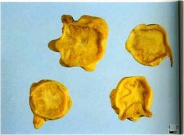 涓嵂榛戦檮瀛愬浣曠厧,涓嵂澶ч檮瀛愮殑鍒悕