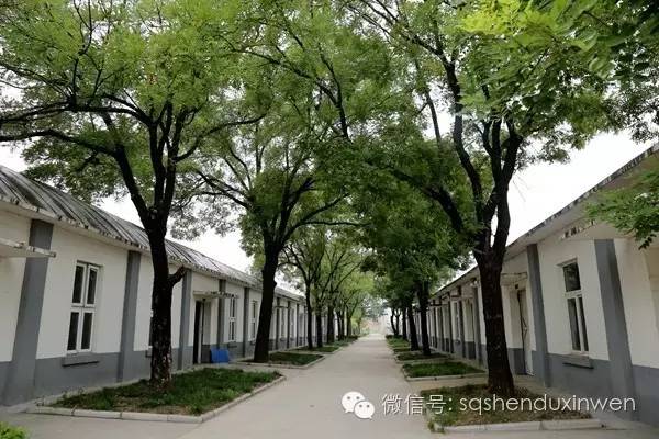 都说南厂出好酒，到底好在哪里？酒乡宁陵探源