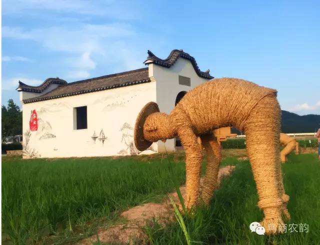 华溪村为啥一夜就火了,华溪村为什么突然火了